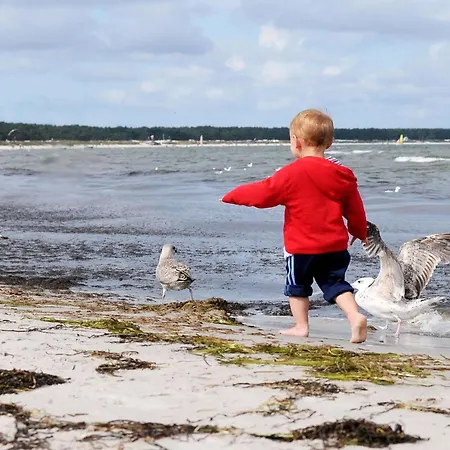 Albatros An Der Seebruecke *