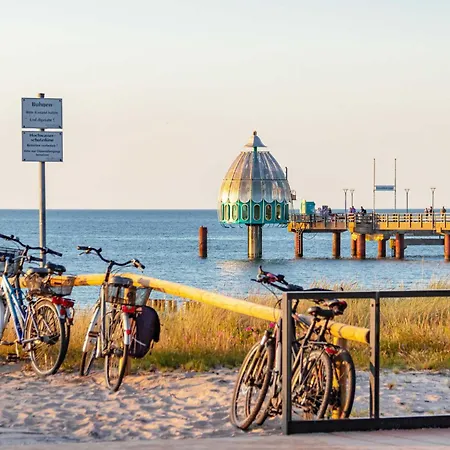 Albatros An Der Seebruecke